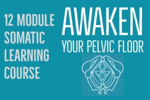 awaken your pelvic floor