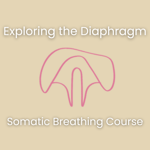 Somatic Breathing diaphragm