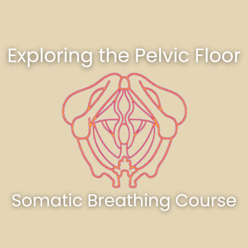 somatic breathing pelvic floor